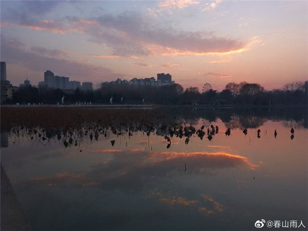 【圖說淮南】—— 龍湖公園粉色天空