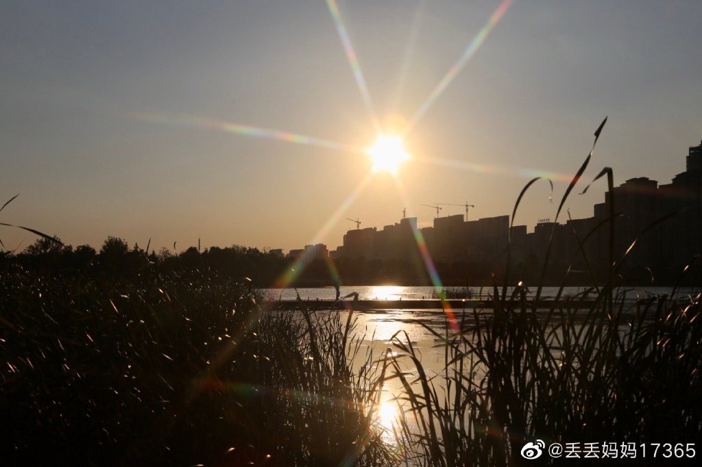 【圖說淮南】——淮南中央公園的夏季艷陽