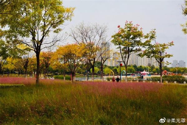 圖說淮南——人民公園秋景