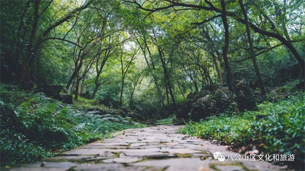 【圖說淮南】—— 早春徒步八公山，經(jīng)典路線推薦（下）