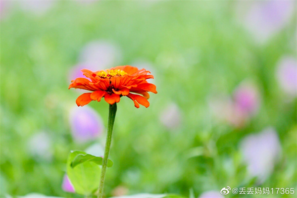 【圖說淮南】——今日芒種，愿你“芒”有所獲，“種”有所得